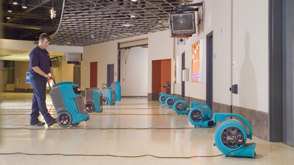 What to Do If You Suspect You Have Water Damage