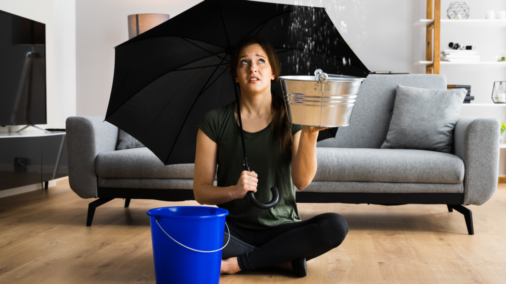 water damage restoration