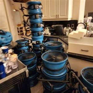 flood remediation