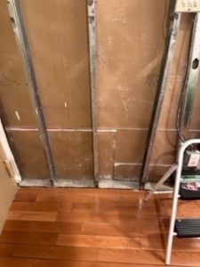 mold damage restoration