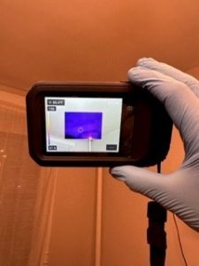 mold mitigation
