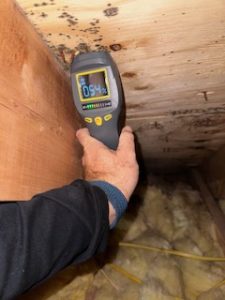 mold removal