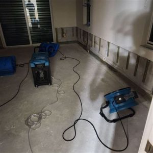 water mitigation